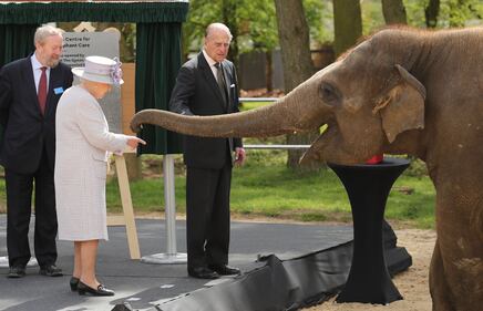 La Regina Elisabetta va allo zoo a vedere gli elefanti 1