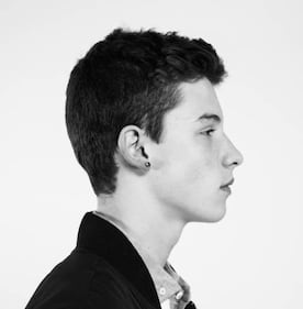Shawn Mendes 5
