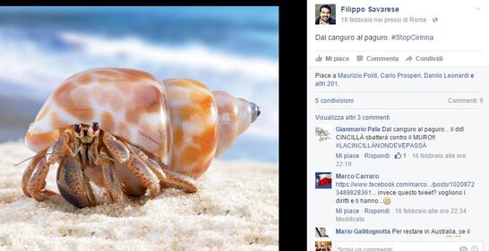 Ddl Cirinnà, il web sfotte il canguro e il Pd 8