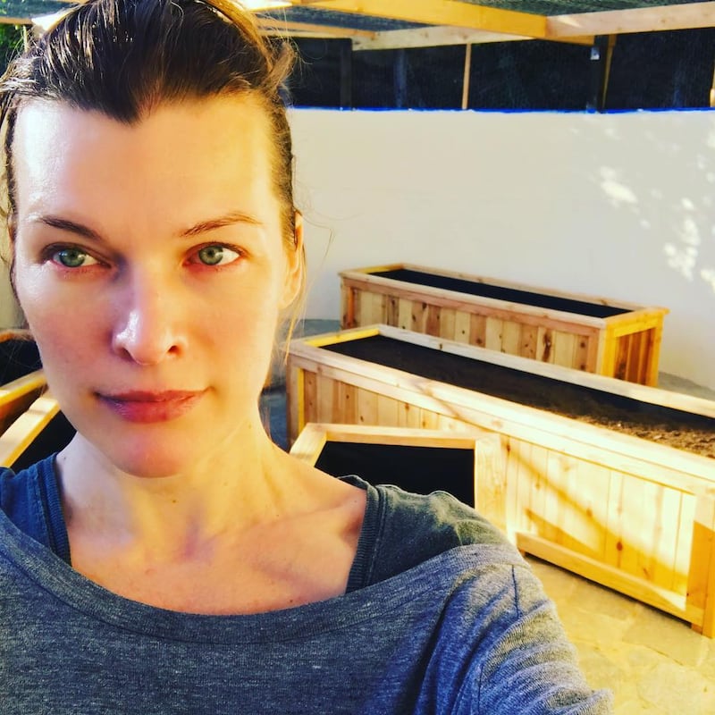 Milla Jovovich, le foto dell'attrice 10