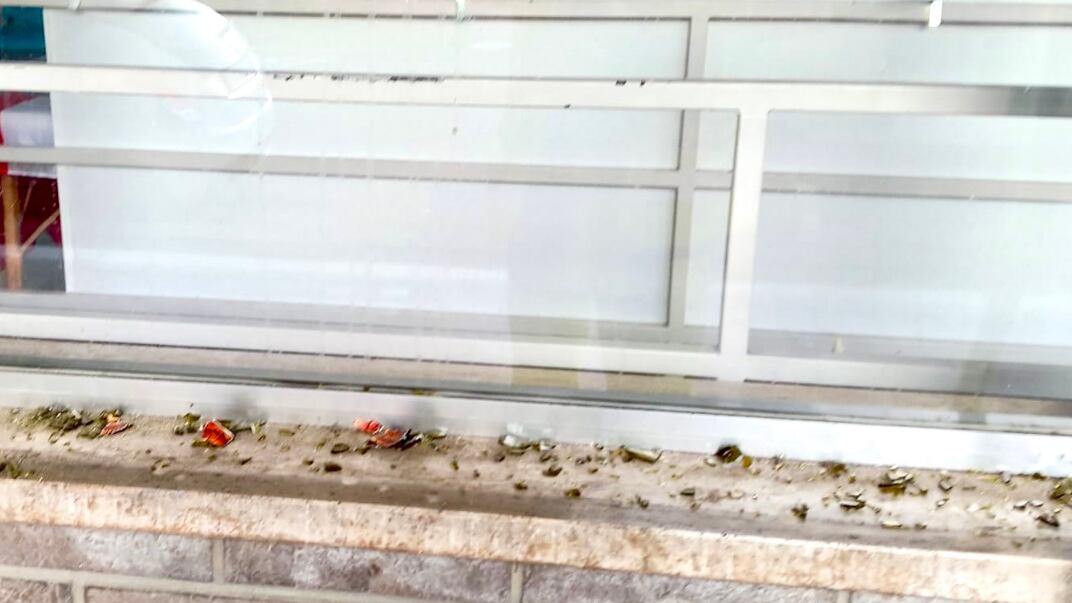 "Atto violento": l'assalto dei vandali alla sede di Fratelli d'Italia a Ferrara