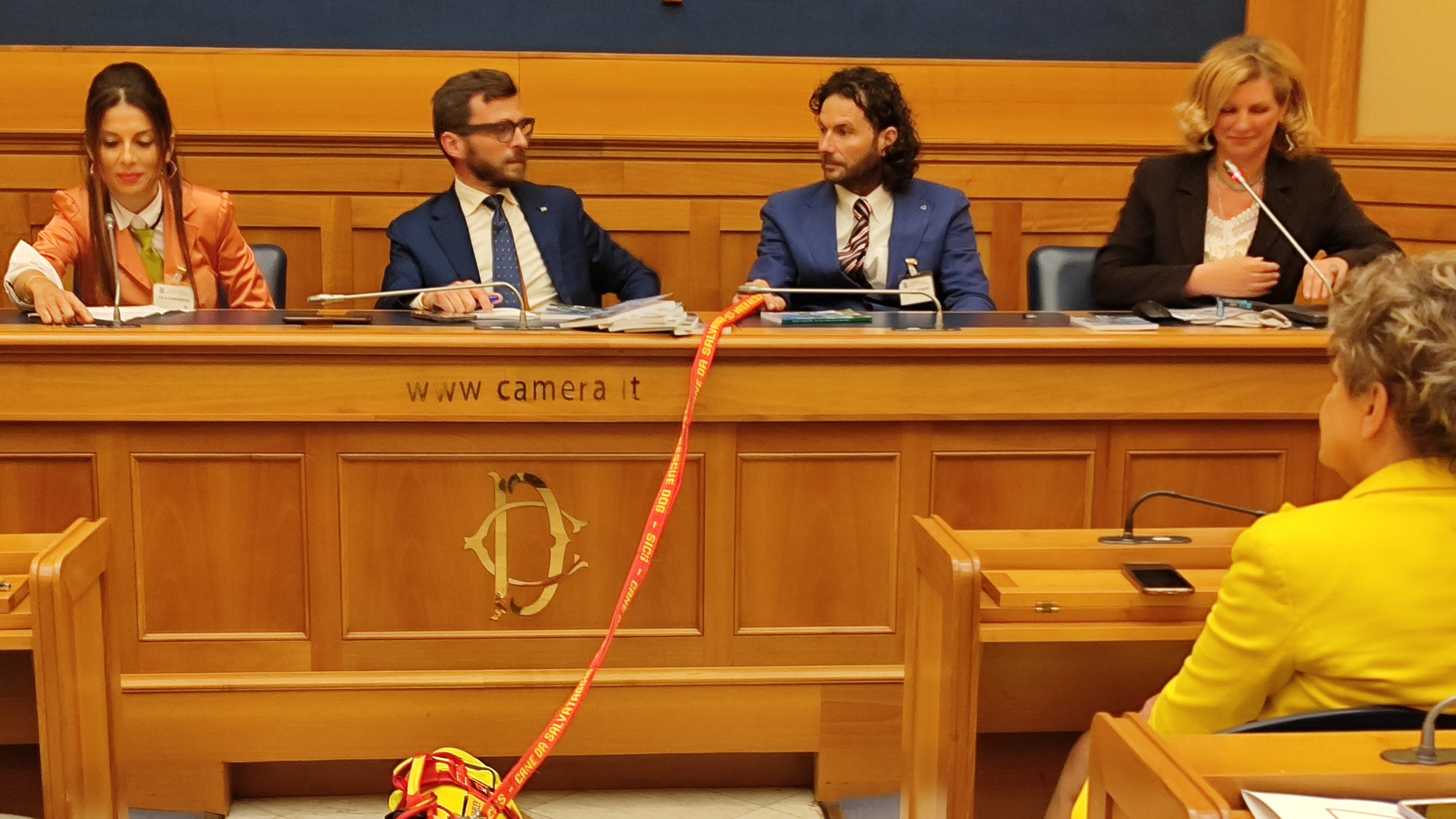 Marley, il cane cieco diventato supereroe della Protezione civile