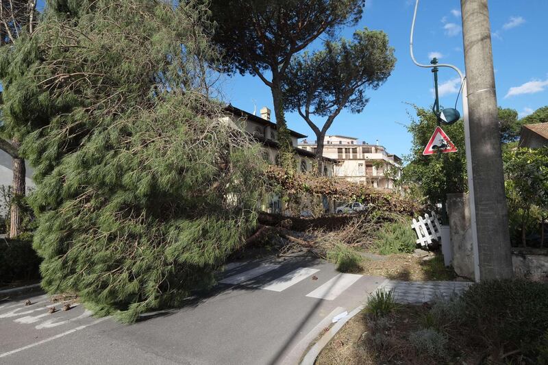 Il maltempo distrugge la pineta di Forte dei Marmi 11