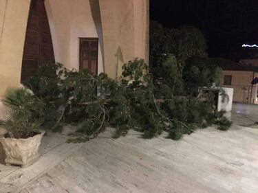 Tetti crollati, alberi sradicati e decine di feriti: il bollettino "di guerra" del vento 1