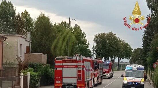 Sciame d’api assale automobilisti: 6 persone in ospedale