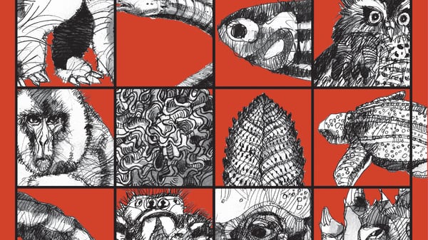 Granchi-yeti e murene: è un mondo di meraviglie