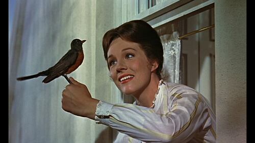 Julie Andrews, la filmografia in foto 5