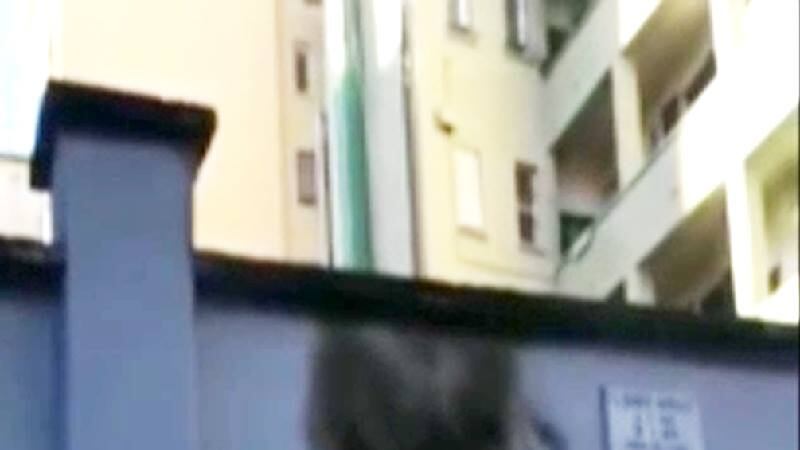 Data alle fiamme la corona di fiori sotto casa di Sergio Ramelli