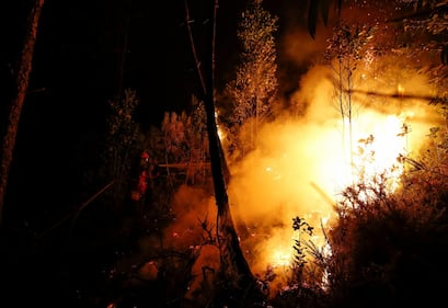 Incendio in Portogallo: 58 morti 5