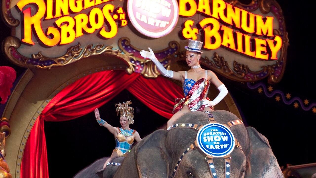 La guerra degli animali Cosa si nasconde dietro il tendone del circo