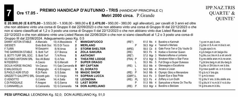 7RM_HP autunno2024