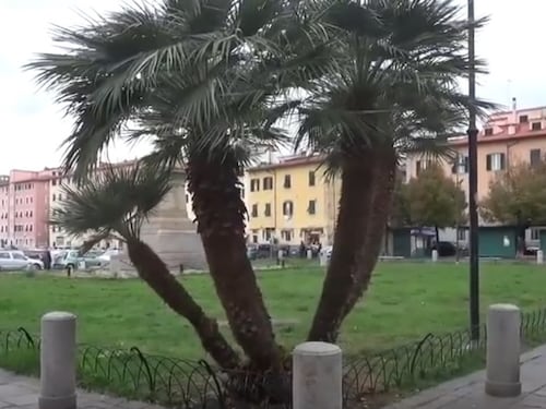 Livorno, rissa in pieno pomeriggio con katana: cittadini terrorizzati