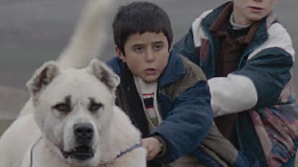 I ragazzi che prendono in mano il destino