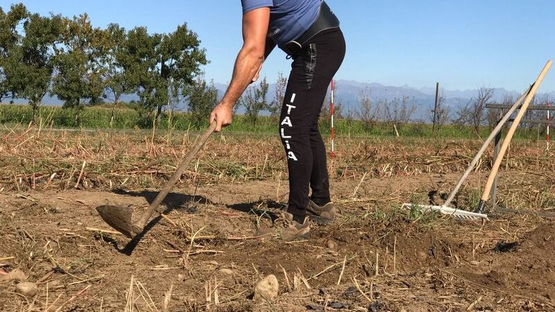 Il super contadino è di Cuneo "La mia palestra sono i campi"