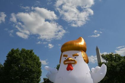 Ora il "Trumpollo" vuole fare i conti con Donald 4