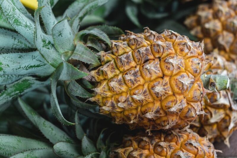 Ananas