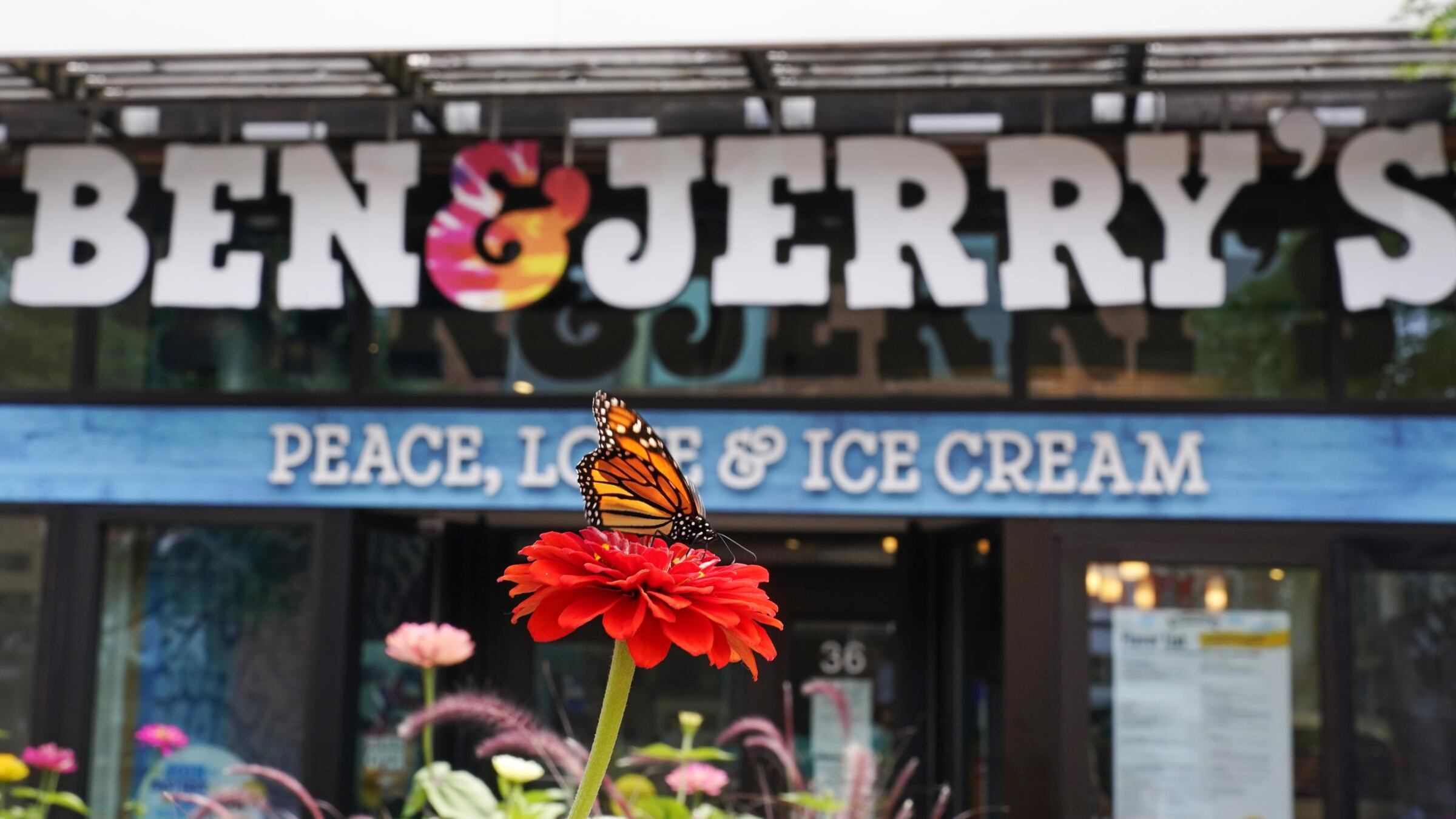 Il gelato "Ben & Jerry's" boicotta Israele. E Gerusalemme si schiera: "Inaccettabile"