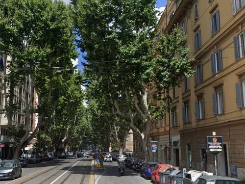 Picchia una 72enne e tenta di stuprare la figlia disabile, orrore a Roma: straniero in manette