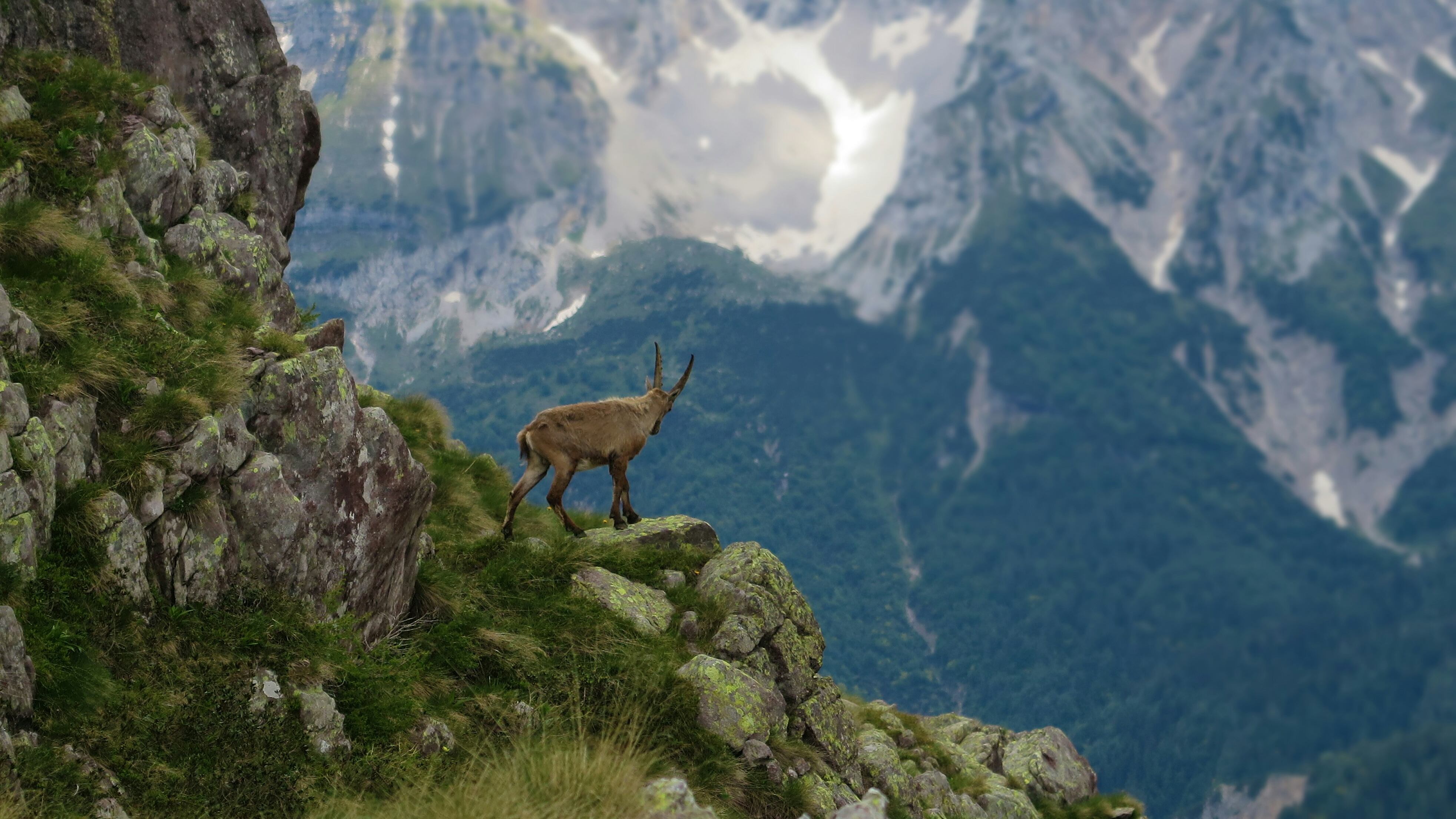 La Regione porta 6mila giovani in montagna