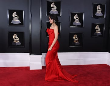 Grammy 2018: le giovani popstar più hot 14