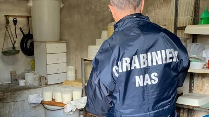 Formaggi prodotti in condizioni igieniche da incubo: denunciato un giovane