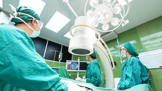 Primo trapianto di un rene di maiale su paziente in vita: che cosa è lo xenotrapianto
