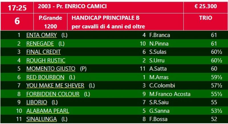 camici 2024