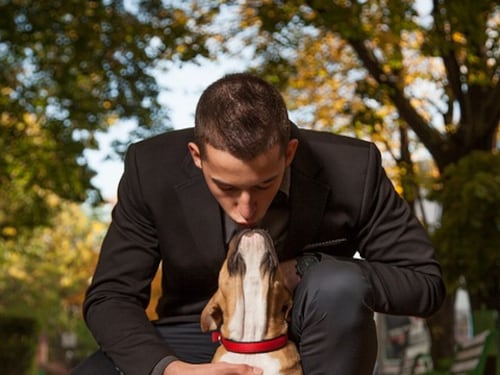 Gli uomini amano il loro cane come un figlio