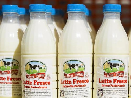"Quote latte, l'Italia è inadempiente". Lo dice la Corte Ue