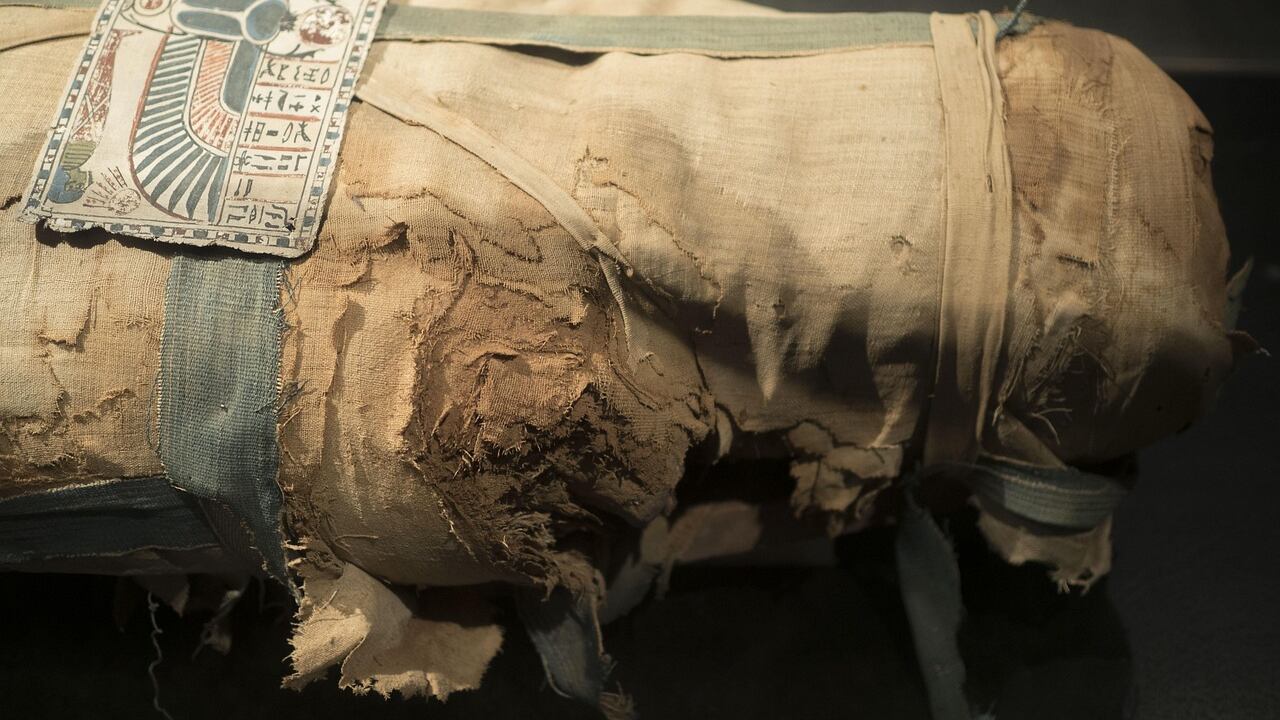 Mummia verde di Bologna: svelato il mistero dopo 40 anni