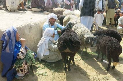 Afghanistan, i preparativi per l'Eid 9