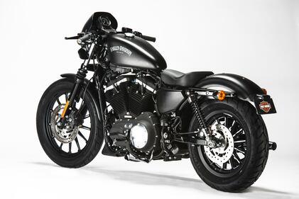 Harley-Davidson Iron 883 Special Edition S 13
