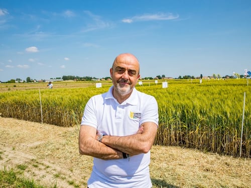 Consorzi Agrari a quota 800 milioni