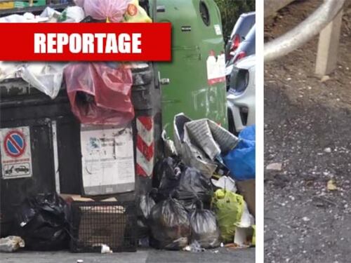 Degrado senza fine: quella fermata dei bus infestata dai topi