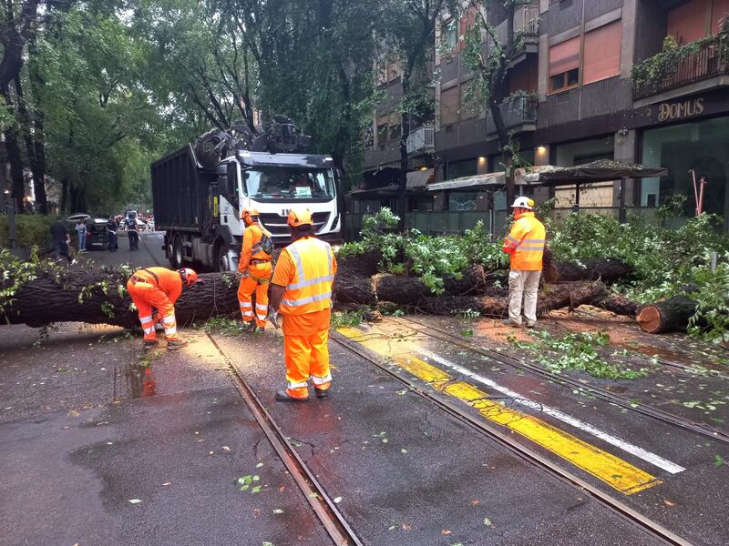 Maltempo a Milano, esonda il Seveso e alberi caduti