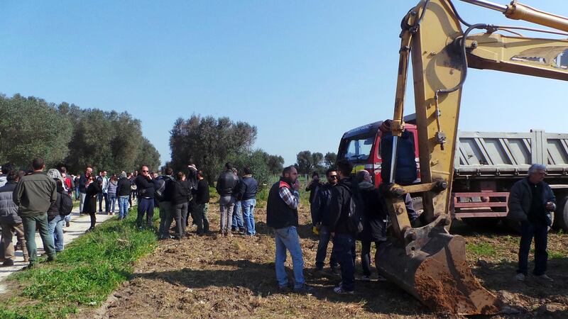 Xylella, ruspe negli uliveti di Oria. Gli ambientalisti tentano il blocco 1