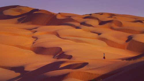 Google arriva nel deserto, a dorso di cammello 2