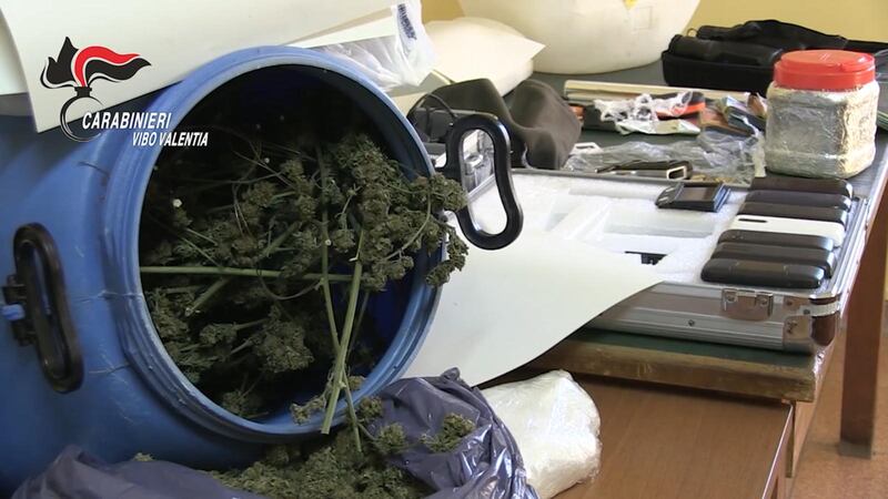 Vibo Valentia, l'operazione antidroga dei carabinieri 1