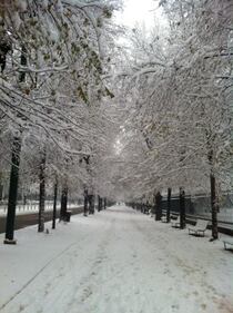 Italia sotto la neve (14 dicembre 2012) 2