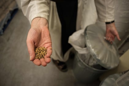 La birra inglese trappista prodotta dai monaci  5
