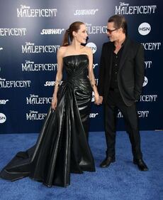 Brad Pitt e Angelina Jolie, le foto 21