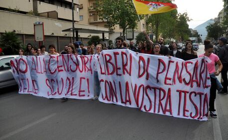 Sit-in a Palermo: slogan e striscioni a favore della prof sospesa 11