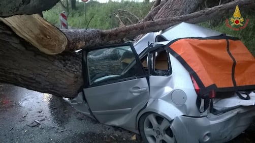 Maltempo a Roma, cade albero su auto 3