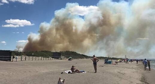 Fiamme fanno evacuare la spiaggia a Capalbio 4