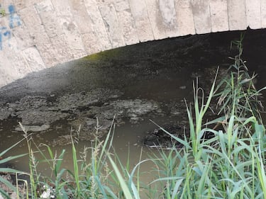 Lungo il corso del fiume Sarno 8
