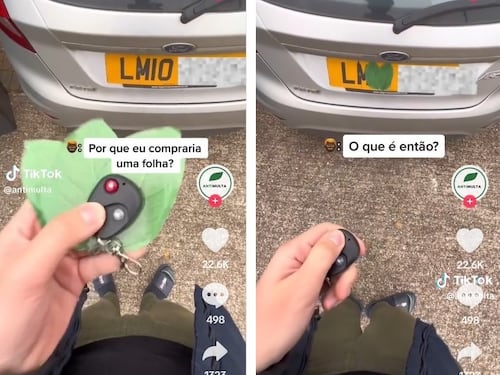 Autovelox, il trucco della foglia per evitare la multa: ecco cosa si rischia