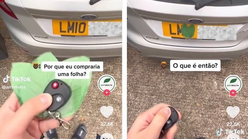 Autovelox, il trucco della foglia per evitare la multa: ecco cosa si rischia