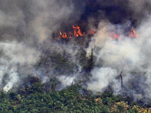 Amazzonia, così le Ong incendiano la foresta per incassare i fondi stranieri