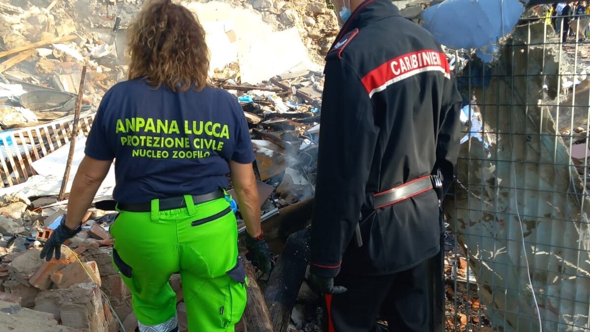 Un poeta e la sua compagna: le vittime dell'esplosione di Lucca