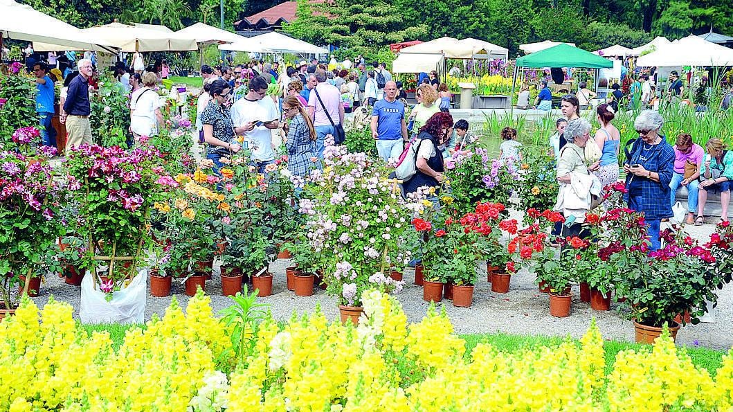 Tutto pronto per Orticola tra fiori, piante e cappelli